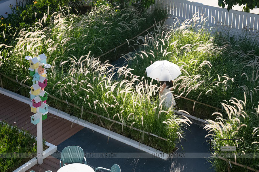 “巢里巢外” “巢里巢外”